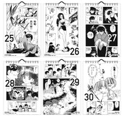 「まいにち『らんま1/2』カレンダー」