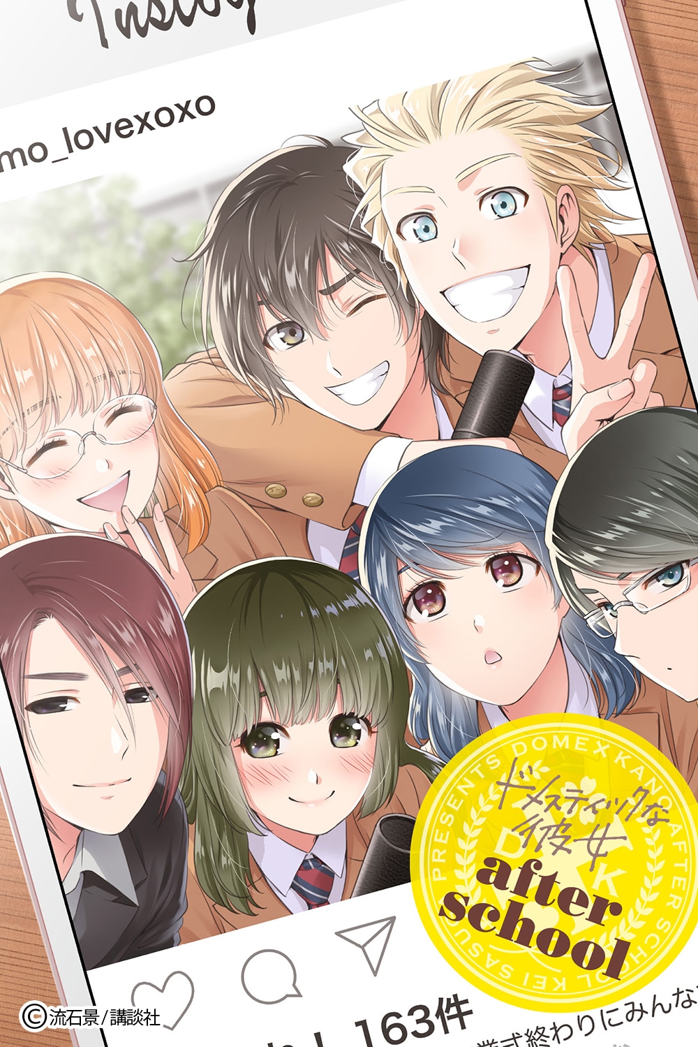 「ドメスティックな彼女」15巻特装版の小冊子。