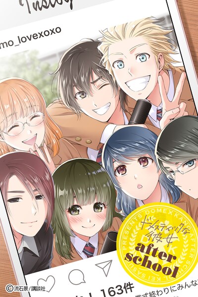 「ドメスティックな彼女」15巻特装版の小冊子。