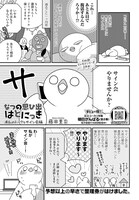 「フランスはとにっき」特別編