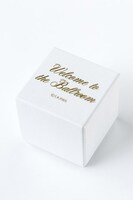 「ボールルームへようこそ」富士田多々良モデルのイヤリング、ピアスのケース。