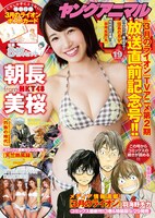 ヤングアニマル19号