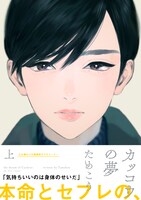 「カッコウの夢」上巻帯付き