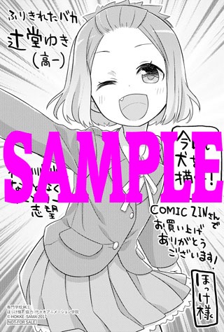 COMIC ZIN特典