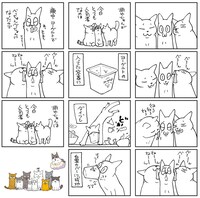 「くるねこ」20巻より。