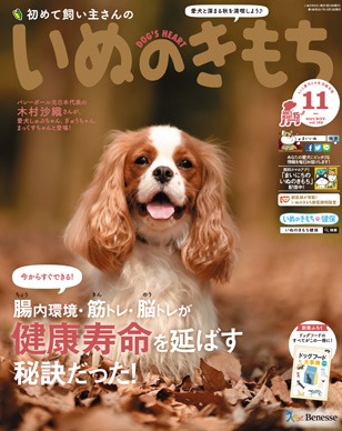 いぬのきもち11月号