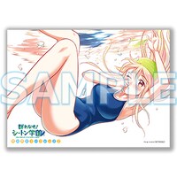 とらのあな特典