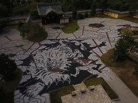 「ONE PIECE ART NUE 大覚寺『魔獣と姫と誓いの花』展」の石絵。(c)尾田栄一郎/集英社/京都麦わら道中記推進委員会