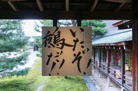 「ONE PIECE ART NUE 大覚寺『魔獣と姫と誓いの花』展」の展示。(c)尾田栄一郎/集英社/京都麦わら道中記推進委員会