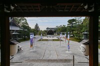 「ONE PIECE ART NUE 大覚寺『魔獣と姫と誓いの花』展」の展示。(c)尾田栄一郎/集英社/京都麦わら道中記推進委員会