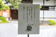 「ONE PIECE ART NUE 大覚寺『魔獣と姫と誓いの花』展」の展示。(c)尾田栄一郎/集英社/京都麦わら道中記推進委員会