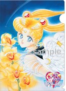 おとなスタイル冬号でもらえるクリアファイル。