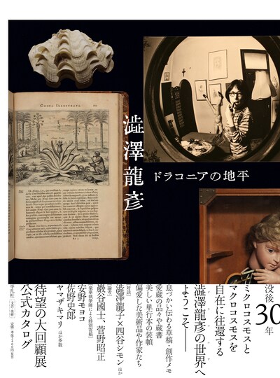 「澁澤龍彦 ドラコニアの地平」