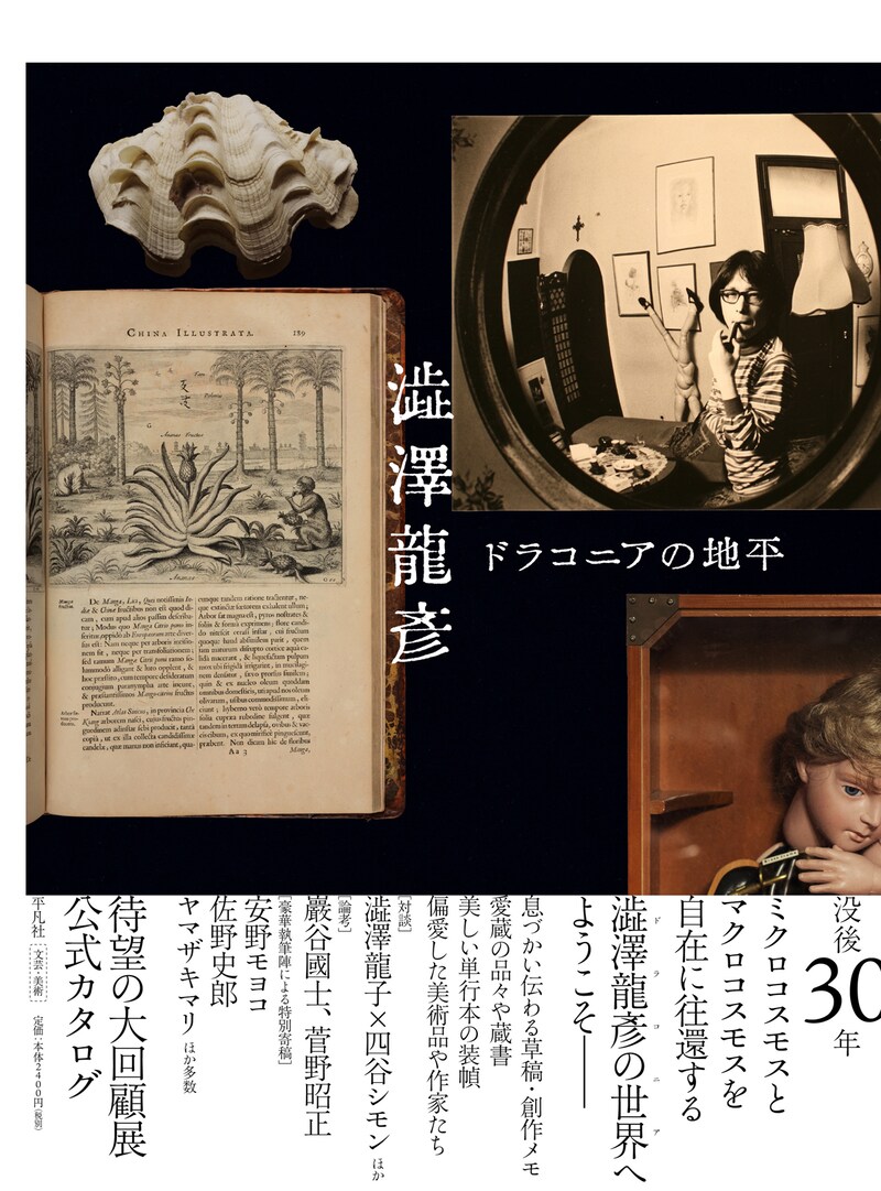 「澁澤龍彦 ドラコニアの地平」