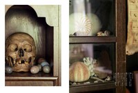 「澁澤龍彦 ドラコニアの地平」より。