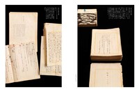 「澁澤龍彦 ドラコニアの地平」より。