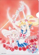 ViVi11月号でもらえるクリアファイル。