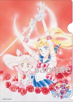 ViVi11月号でもらえるクリアファイル。