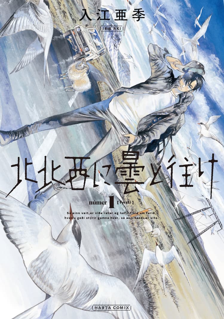 入江亜季がアイスランドを舞台に描く探偵活劇 北北西に曇と往け 1巻 コミックナタリー