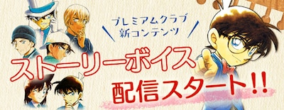 ストーリーボイスのイメージ。