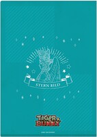 クリアファイルA裏