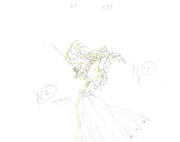 展示内容の一部。