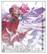 グッズつき入場券の特典のバンドルCD。