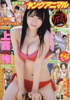 ヤングアニマル嵐12号