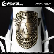 アナハイム・エレクトロニクス社のロゴがあしらわれたヘッドバッジ。