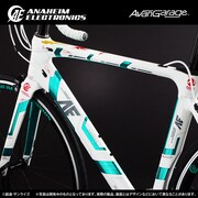 ユニコーンガンダム ロードバイク RB-CAUC01（カーボンフレーム）