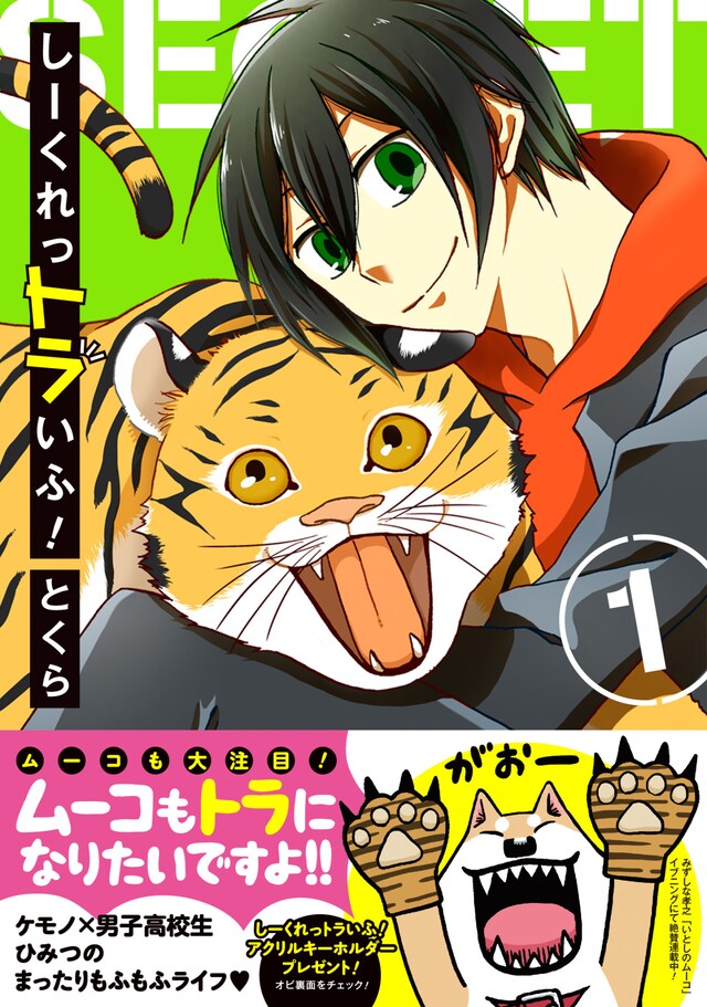「しーくれっトラいふ！」1巻帯付き。