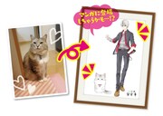 「ねこ男子 ニャンキーハイスクール あなたのねこちゃんをねこ男子化」イラスト化された猫の一例。