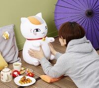 「夏目友人帳 PCクッション ニャンコ先生」使用例。