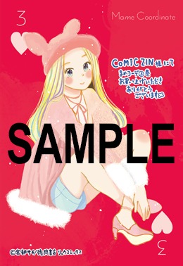 COMIC ZIN特典