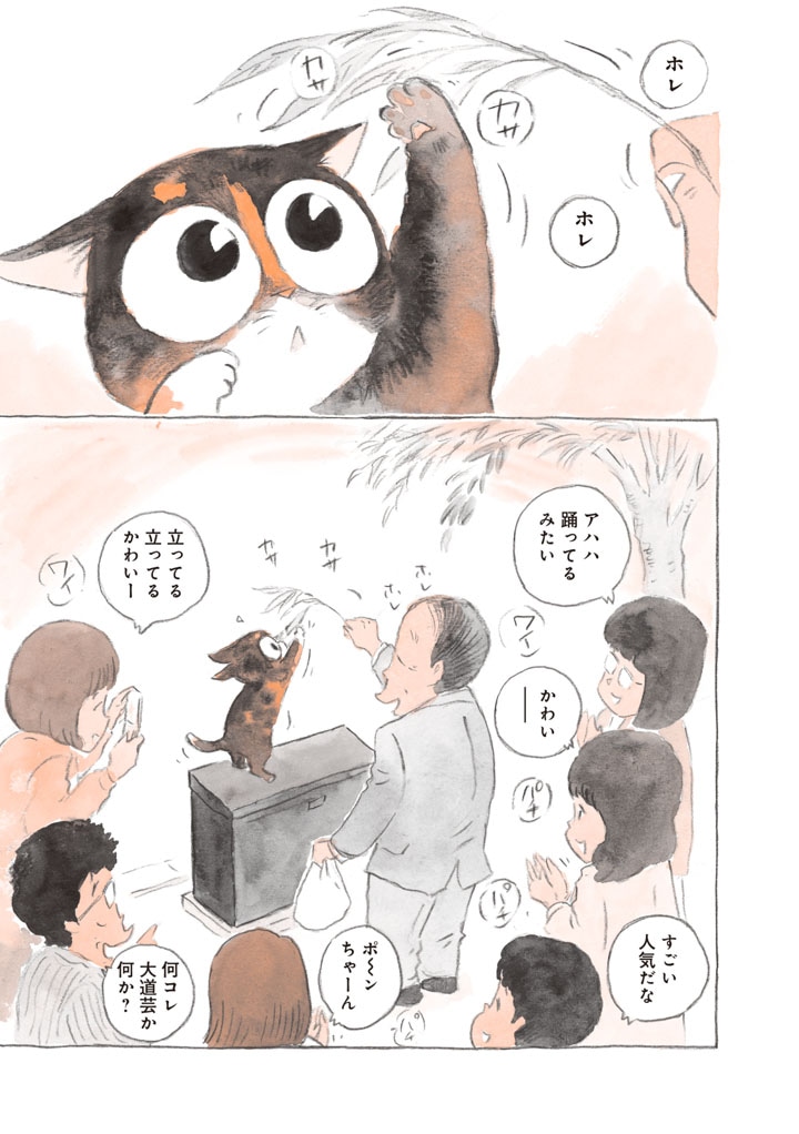 「ねことマスター 幸せをよぶ看板猫」より。