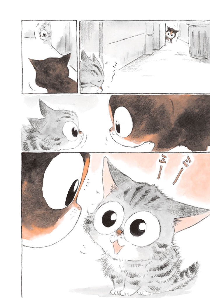 「ねことマスター 幸せをよぶ看板猫」より。