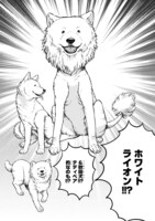 「ワンルームワンコ」第1話より。