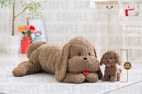 「等身大マッカチン」＆「ヴィっちゃんぬいぐるみ」