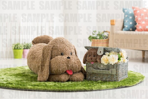 「等身大マッカチン」＆「ヴィっちゃんぬいぐるみ」