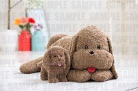 「等身大マッカチン」＆「ヴィっちゃんぬいぐるみ」