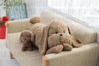 「等身大マッカチン」＆「ヴィっちゃんぬいぐるみ」