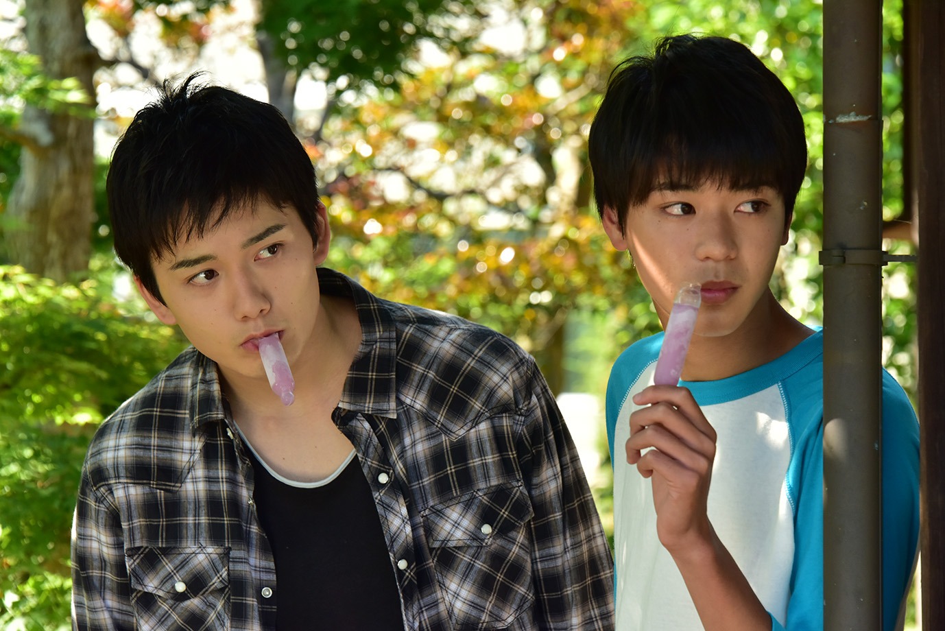 映画「花は咲くか」場面写真