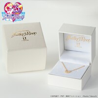 ネックレス（プラチナ・ゴールド・シルバー素材）、 リング（シルバー素材） 専用ジュエリーケース。