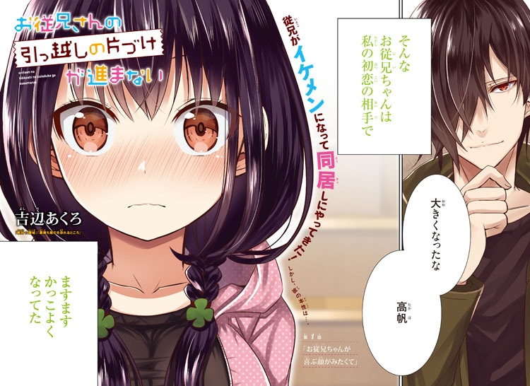 「お従兄さんの引っ越しの片づけが進まない」より。