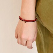 シンシャモデル。