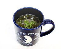 「チトとユーリのスープ」