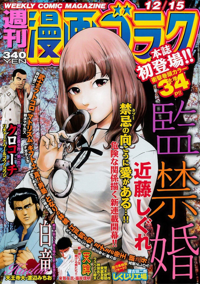 週刊漫画ゴラク12月15日号