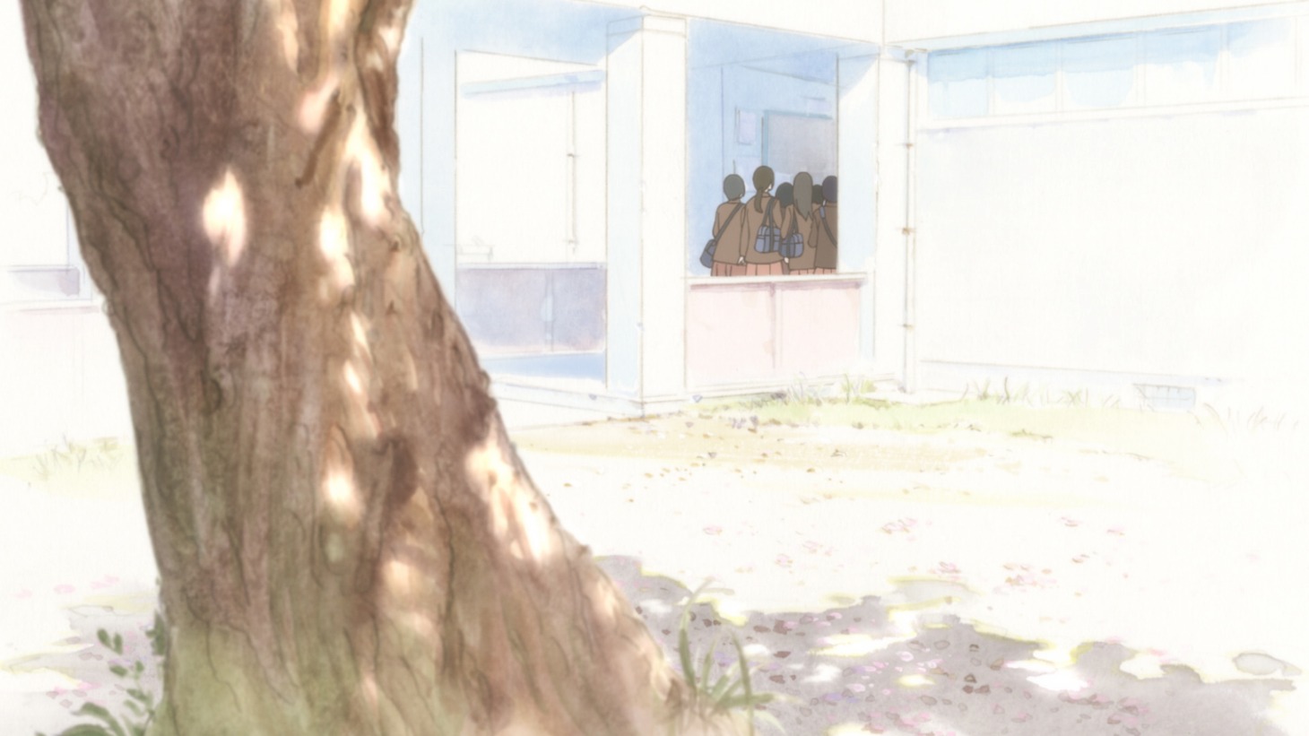 「あさがおと加瀬さん。」の特報PVより。