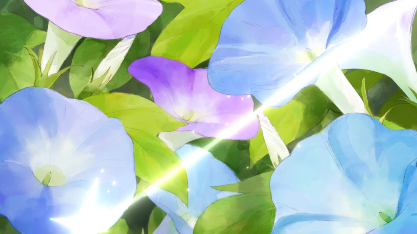 「あさがおと加瀬さん。」の特報PVより。