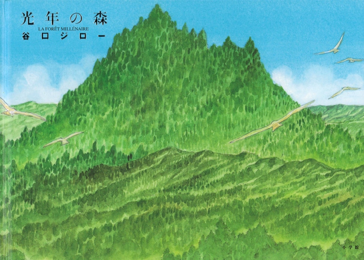 「光年の森」